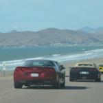 Cambria_0166 (November 02, 2012)